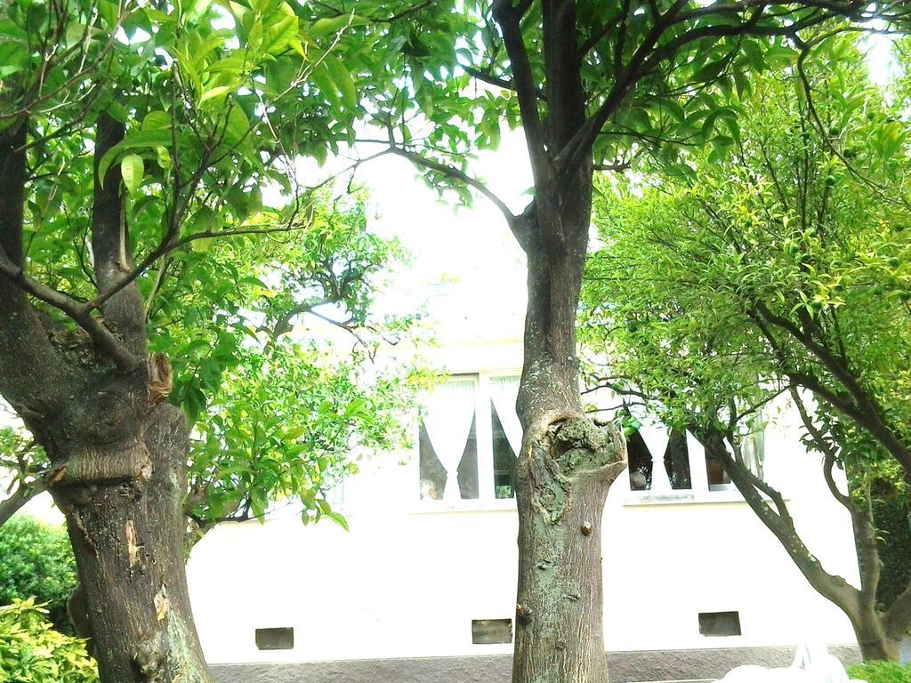 Hotel Piccolo Eden Nervi Dış mekan fotoğraf